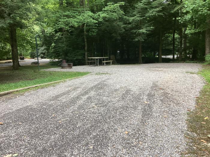 A photo of Site 017 of Loop River at BLACK MOUNTAIN CAMPGROUND with Picnic Table, Fire Pit, Shade, Lantern Pole