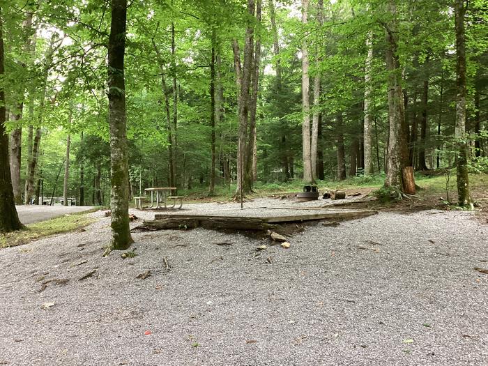 A photo of Site 029 of Loop Upper at BLACK MOUNTAIN CAMPGROUND with Picnic Table, Fire Pit, Shade, Lantern Pole