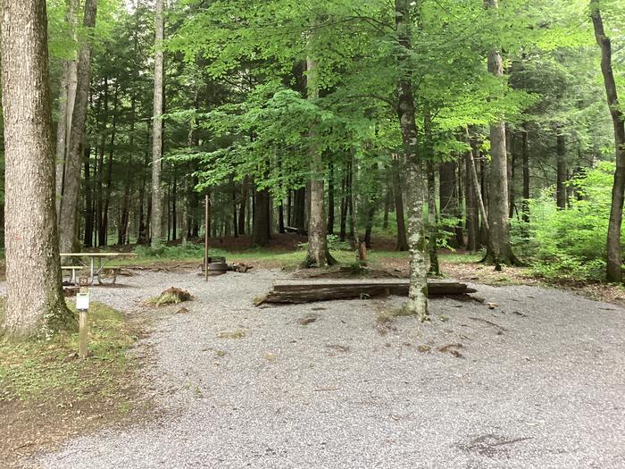 A photo of Site 029 of Loop Upper at BLACK MOUNTAIN CAMPGROUND with Picnic Table, Fire Pit, Shade, Lantern Pole