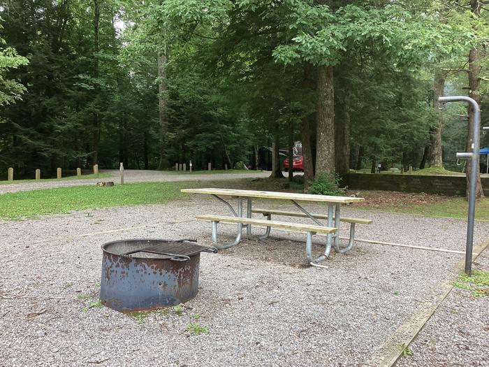 A photo of Site 041 of Loop Upper at BLACK MOUNTAIN CAMPGROUND with Picnic Table, Fire Pit, Lantern Pole