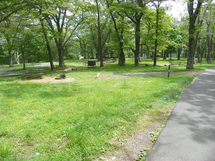 Campsite i219 has a back in driveway, fire pit, picnic table, and grass lawn. 