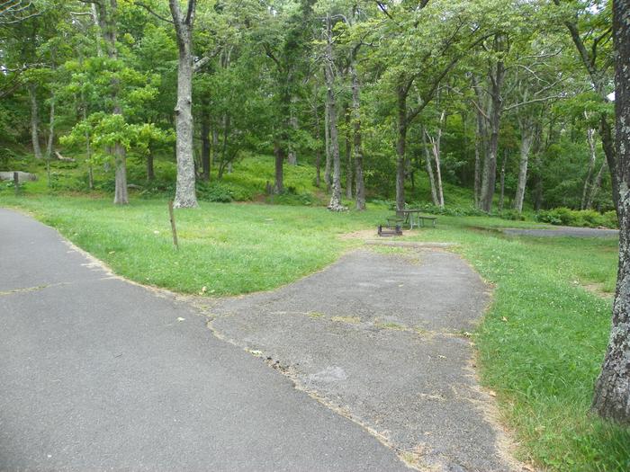 Site i219 has a short back in driveway, with fire ring and picnic table in the back. There is a small grass lawn to the side.