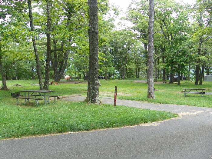 Campsite i220 has a back in driveway, fire pit, picnic table, and grass lawn. 