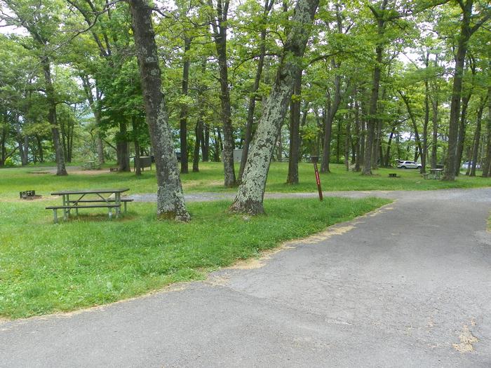 Campsite I222 has a back in driveway, fire pit, picnic table, and grass lawn. 