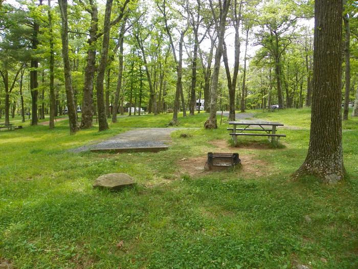 Site i224 driveway is surrounded by a grass lawn, with picnic table, fire ring, and tree to the right.