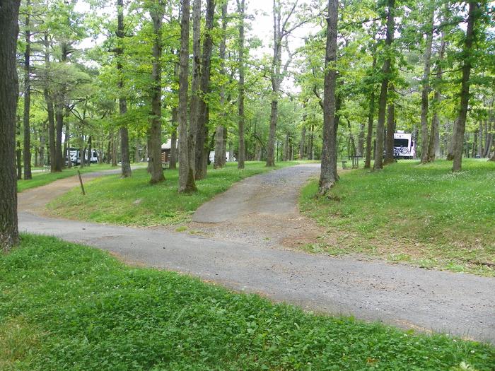 i225 driveway at center, with picnic table, fire ring, and grass lawn to the right. More campsites visible in the background.