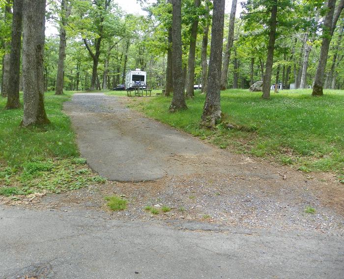 The entrance to site i225 driveway slopes up into the site as it passes between two trees. Picnic table, fire ring, and grass lawn to the right.