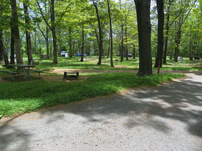 Campsite I226 has a back in driveway, fire pit, picnic table, and grass lawn. More campsites in the background.