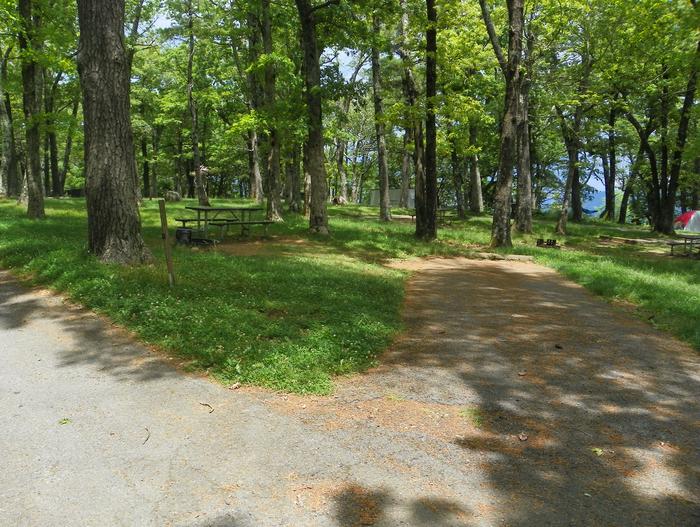 Site i226 picnic table and fire ring surrounded by grass lawn and trees, with parking space to the right.