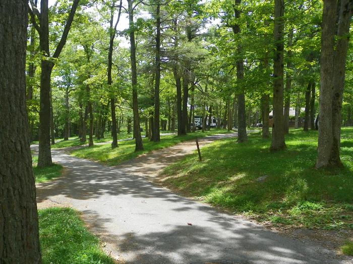 Campsite I227 pull through driveway makes a right turn away from the road with fire pit, picnic table, and grass lawn to the right of the driveway.