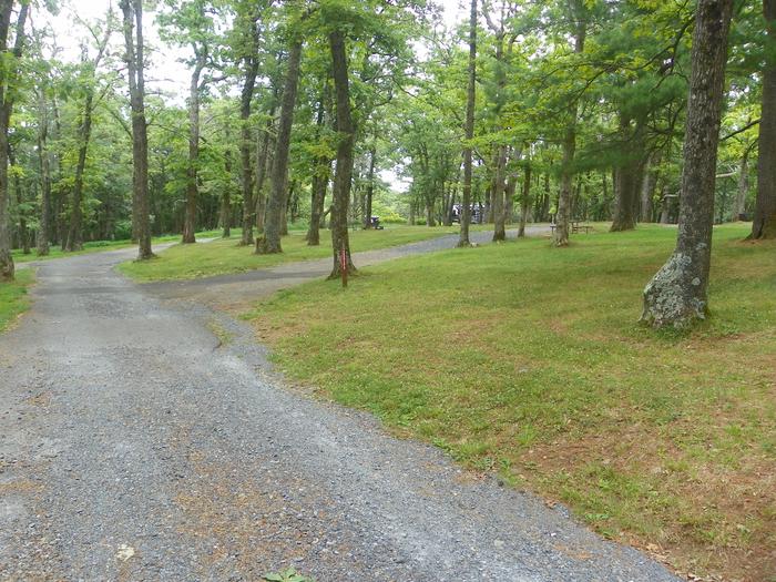 i229 pull through driveway turns to the right, between two trees. Further right, a large grass lawn surrounds the fire ring and picnic table.