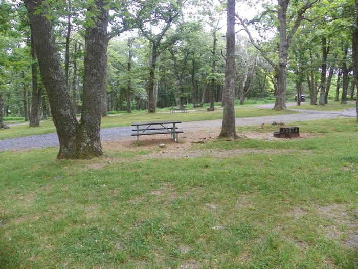 Site i229 grass lawn with trees, picnic table, and fire ring. The site driveway and more campsites in the background.