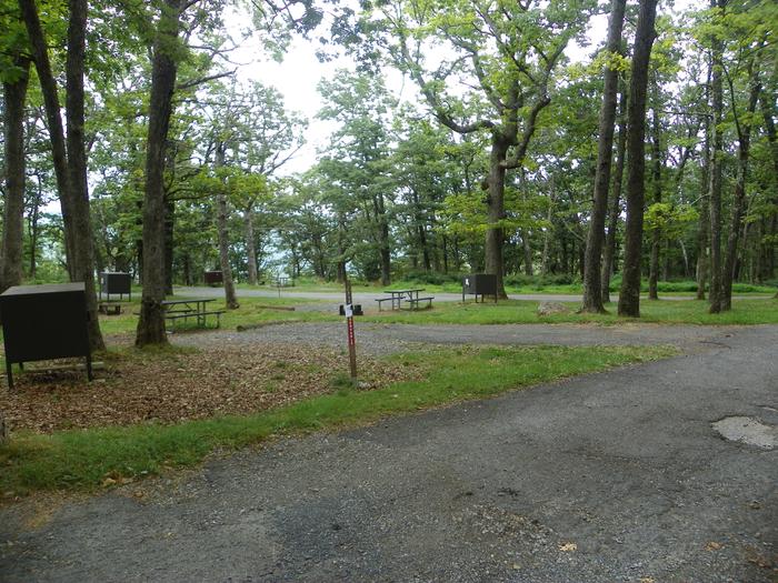 Campsite I230 has a back in driveway, fire pit, picnic table, food storage box, and grass lawn. More campsites are near by in the background.Campsite I230 has a back in driveway, fire pit, picnic table, food storage box, and grass lawn. More campsites are nearby in the background.