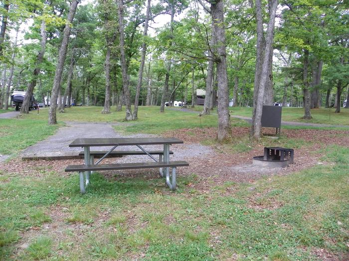 Site i230 picnic table and fire ring, with site driveway and food storage box in the background.