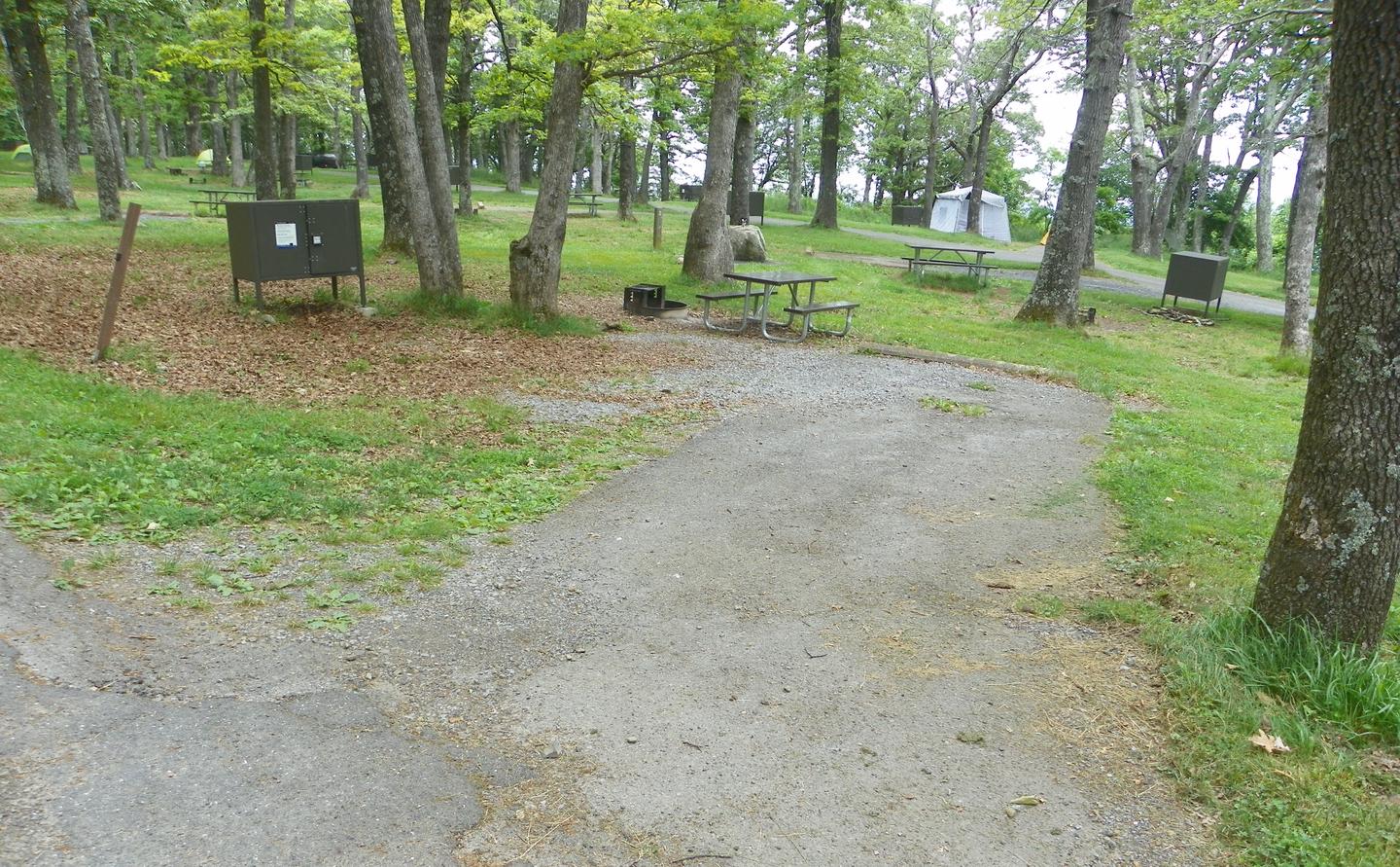 Site i230 driveway backs into the site, next to a picnic table, food storage box, and fire ring. Grass lawn surrounds the site, with more campsites in the background.