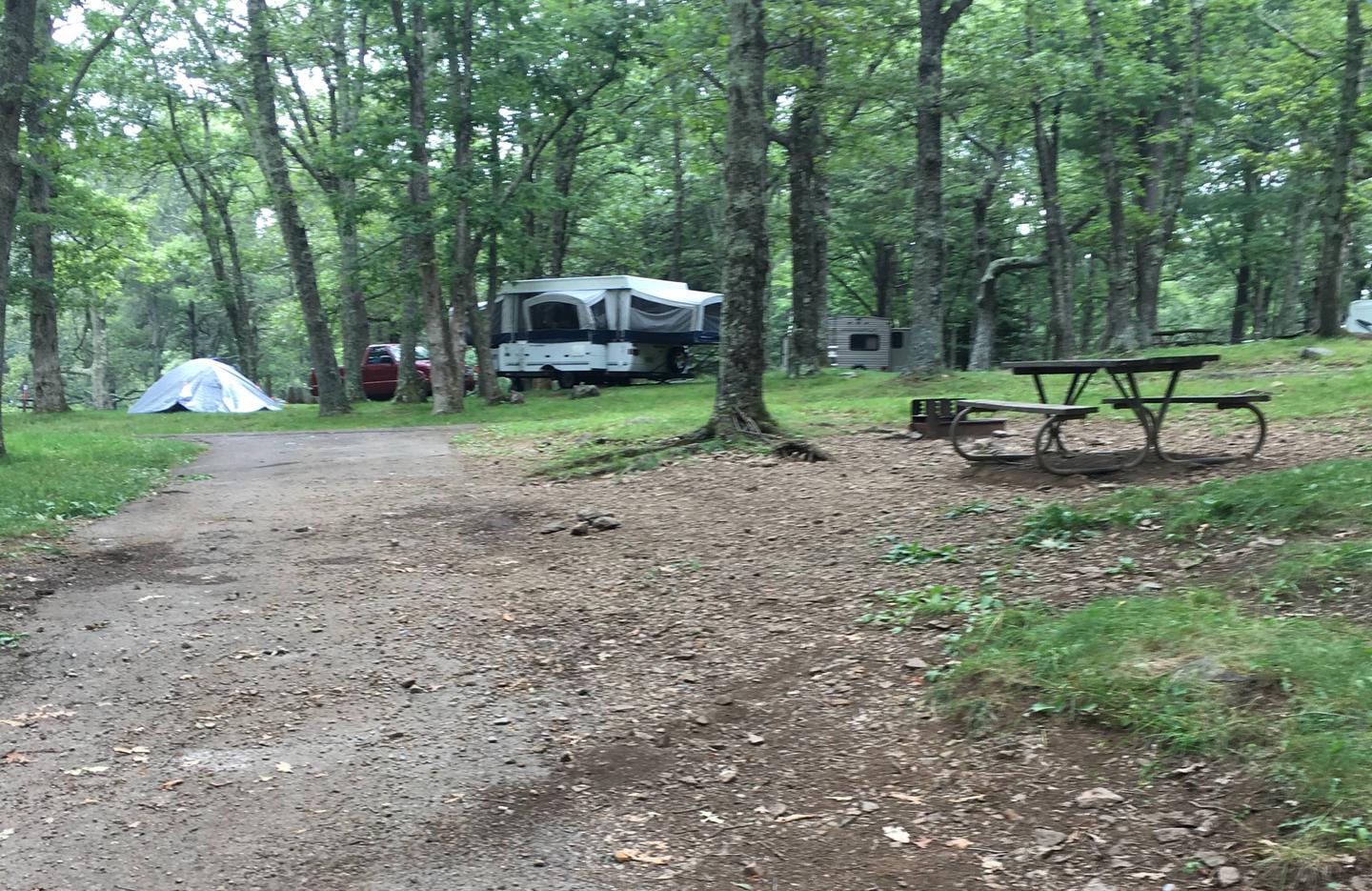 i231Site has a driveway, tent pad, picnic table, and fire pit. 