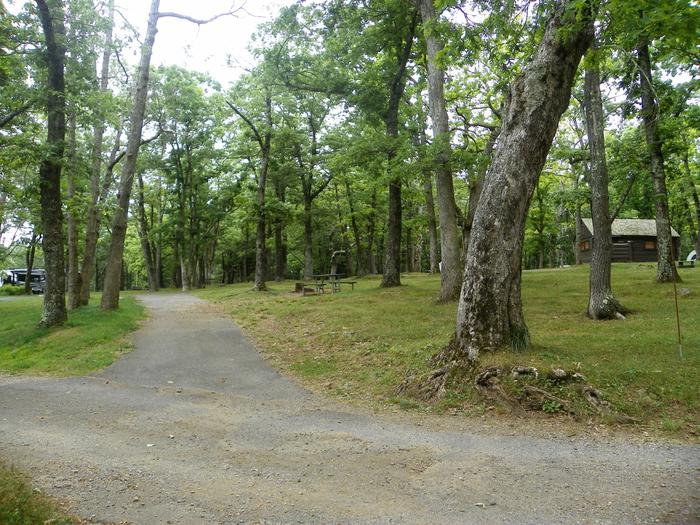 Site i231 pull through driveway slopes up into the campsite past a tree on the right side of the entrance. There are a picnic table, fire ring, and grass lawn to the right.