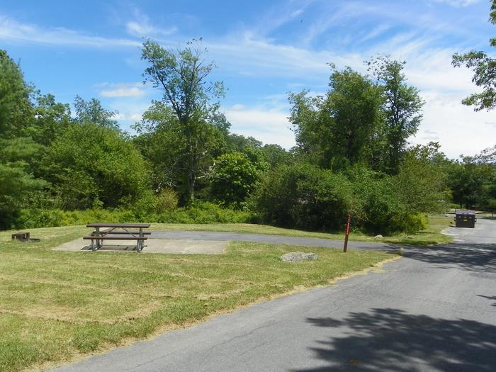 Campsite C123 has a back in driveway, fire pit, picnic table, and grass lawn. 