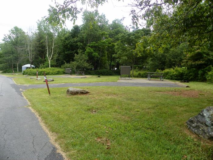 Campsite C125 has a back in driveway, fire pit, picnic table, food storage box, and grass lawn. 