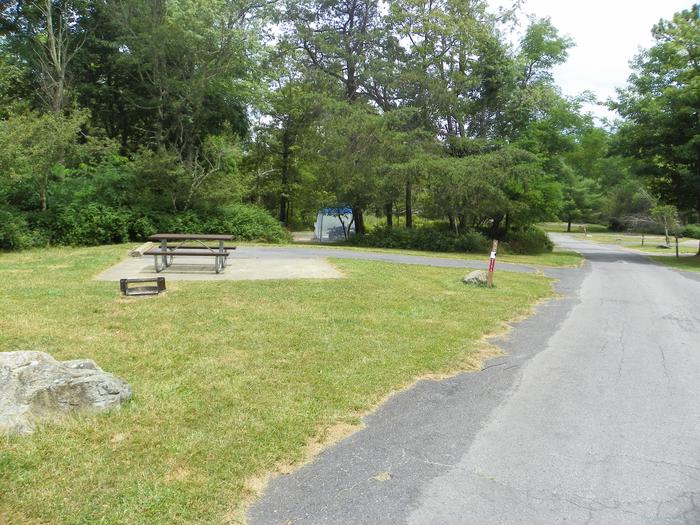 Campsite C130 has a driveway, picnic table, fire ring, and tent pad.