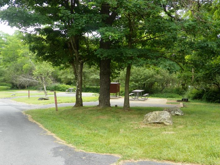 Campsite C131 has a driveway, picnic table, fire ring, food storage bin, and tent pad.