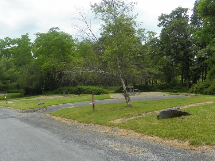 Campsite C133 has a driveway, picnic table, fire ring, and tent pad.