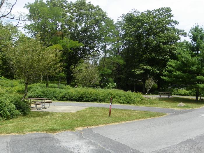 Campsite C134 has a driveway, picnic table, fire ring, and tent pad.