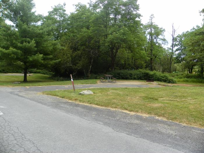 Campsite C135 has a driveway, picnic table, fire ring, and tent pad.