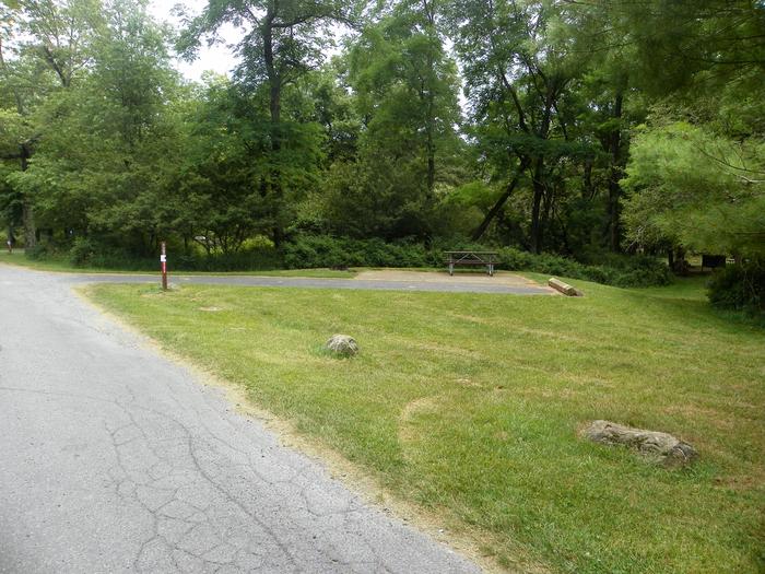 Campsite C137 has a driveway, picnic table, fire ring, and tent pad.