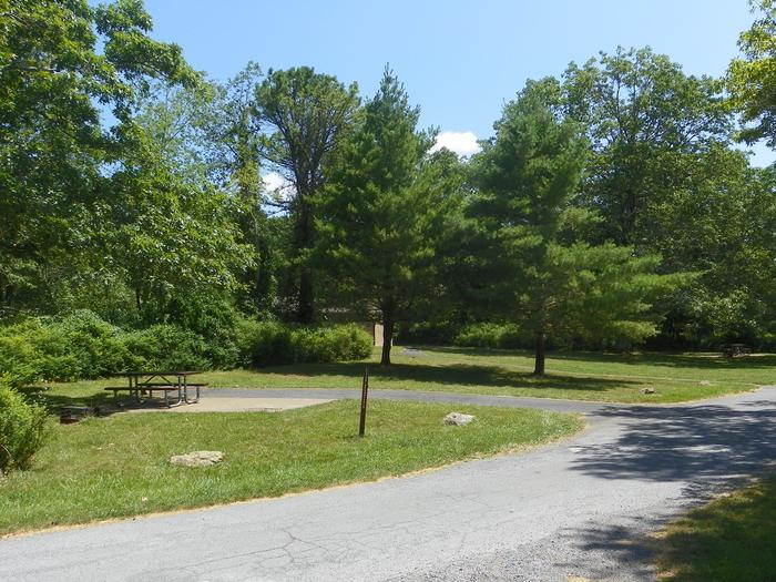 Campsite C138 has a driveway, picnic table, fire ring, and tent pad.