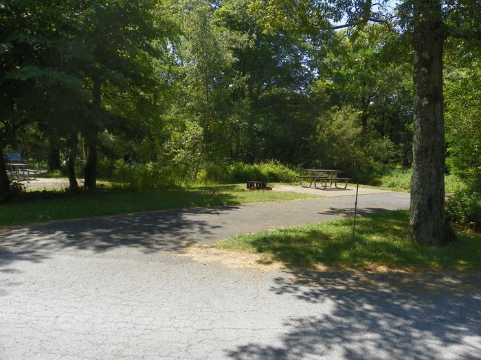 Campsite C139 has a driveway, picnic table, fire ring, and tent pad.