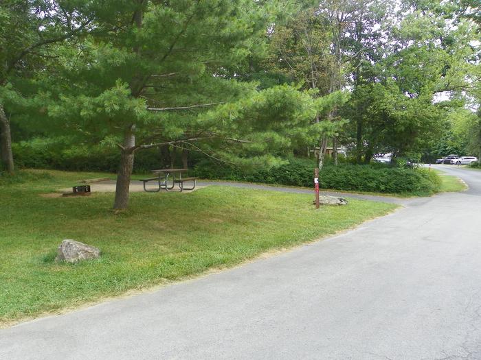 Campsite C141 has a driveway, picnic table, fire ring, and tent pad.