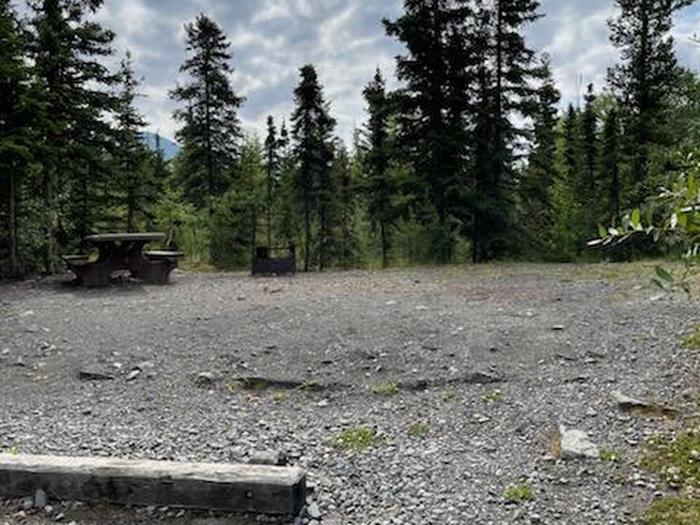 Flat campsite with table, firepit, and boreal forest in the backgroundCampsite 1, Loop Skyview