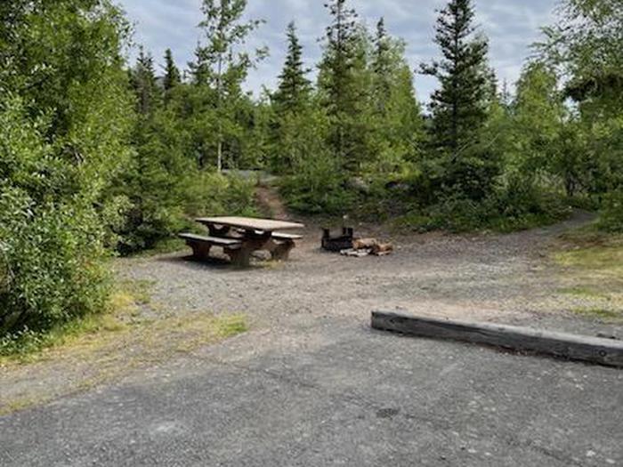 Flat campsite with table, firepit, and boreal forest in the backgroundCampsite 3, Loop Skyview