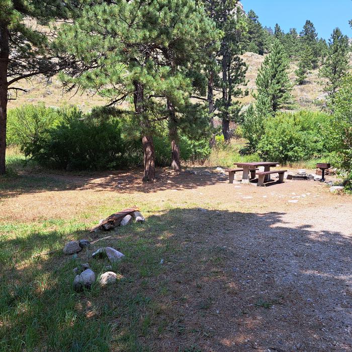 Curtis Gulch Campground site 4 