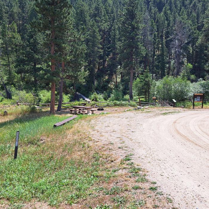 Curtis Gulch Campground site 5