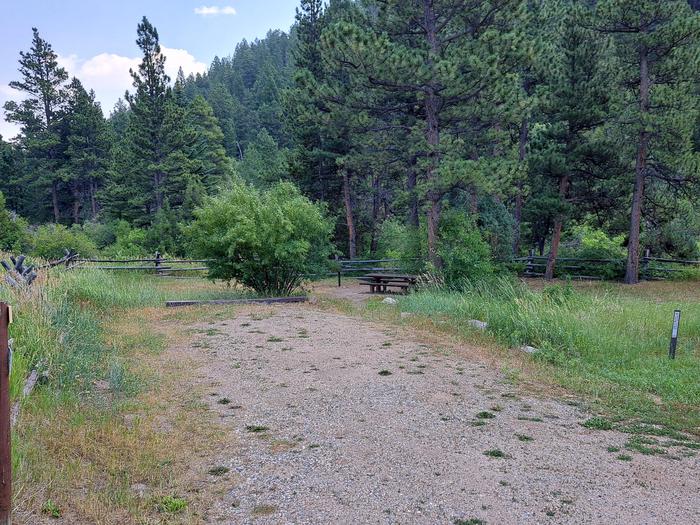 Curtis Gulch Campground site 6