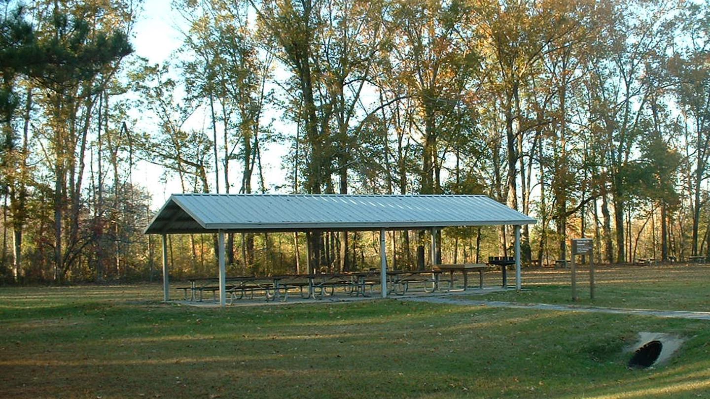 FinchesFinches Ferry Shelter