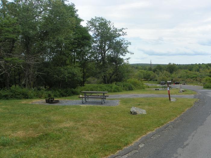 Site A61 has a picnic table and fire ring next to the driveway. The tent pad is an open grass lawn that receives full sun.  