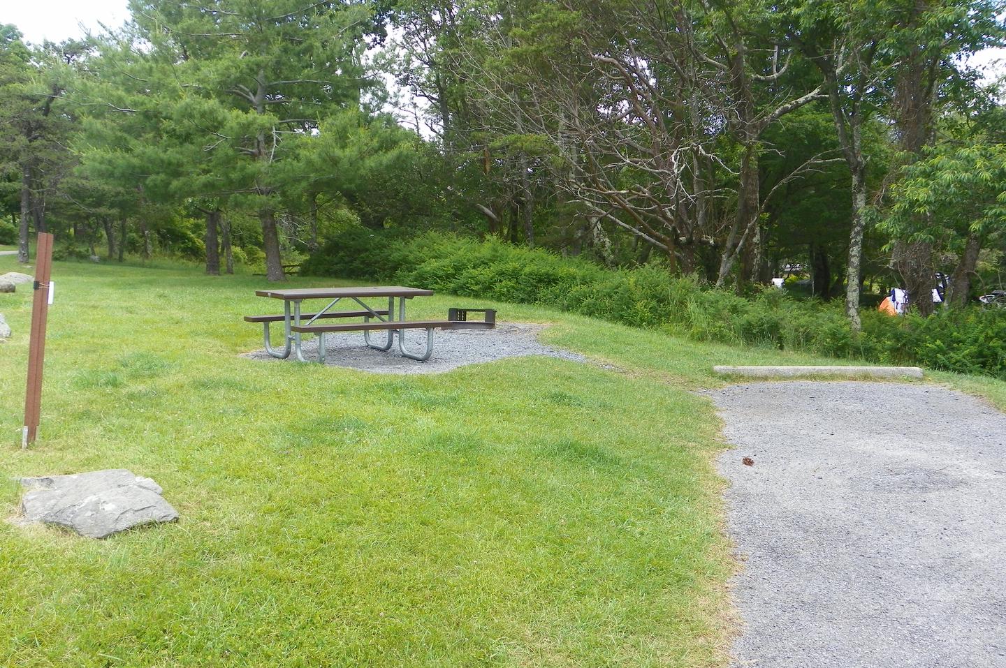 Site A61 has a driveway, grass tent pad, picnic table, and fire pit. 