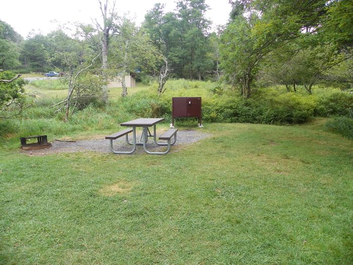 A64 has picnic table, fire ring, food storage box, and grass tent pad, all located behind the driveway.