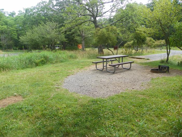 This site borders the natural wetland; surrounded by wetland vegetation, it is subject to flooding during heavy rains