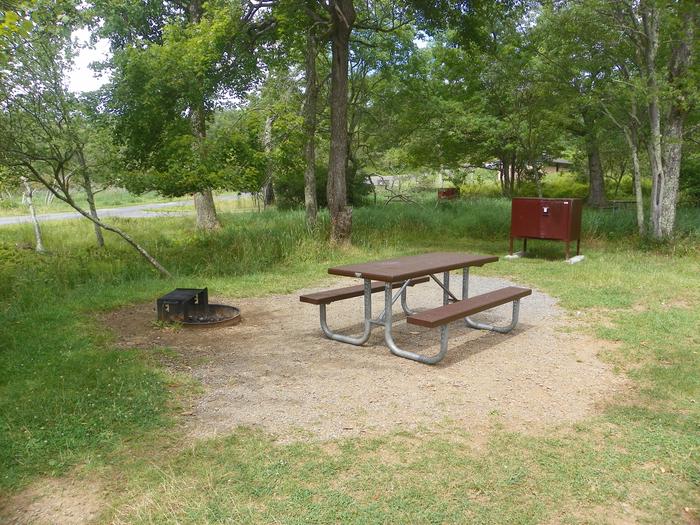 Site A65 has a driveway, food storage bin, grass tent pad, picnic table, and fire pit. 