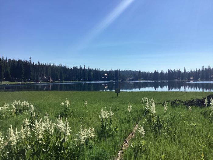 A photo of facility Woodward Campground lake access prohibited 