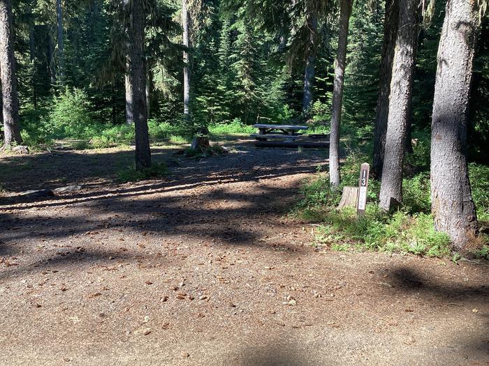 A photo of Site 13 of Loop Woodward at Woodward Campground with Picnic Table, Fire Pit, Shade, Tent Pad