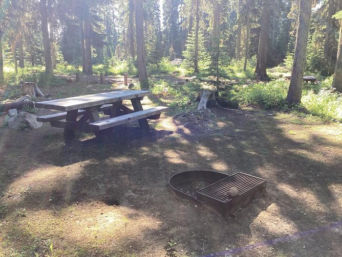 A photo of Site 13 of Loop Woodward at Woodward Campground with Picnic Table, Fire Pit, Shade, Tent Pad