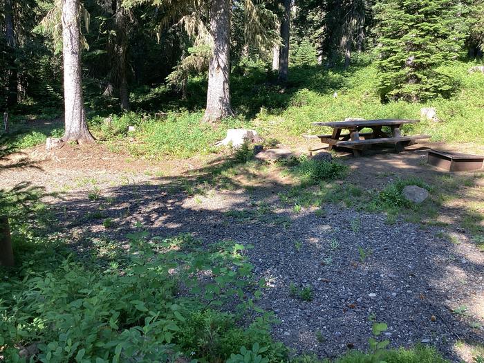 A photo of Site 1 of Loop Woodward at Woodward Campground with Picnic Table, Fire Pit, Shade, Tent Pad