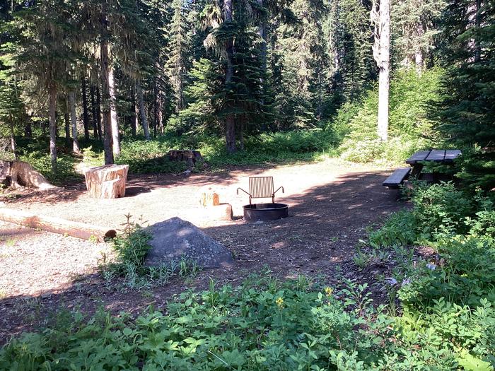 A photo of Site 2 of Loop Woodward at Woodward Campground with Picnic Table, Fire Pit, Shade, Tent Pad