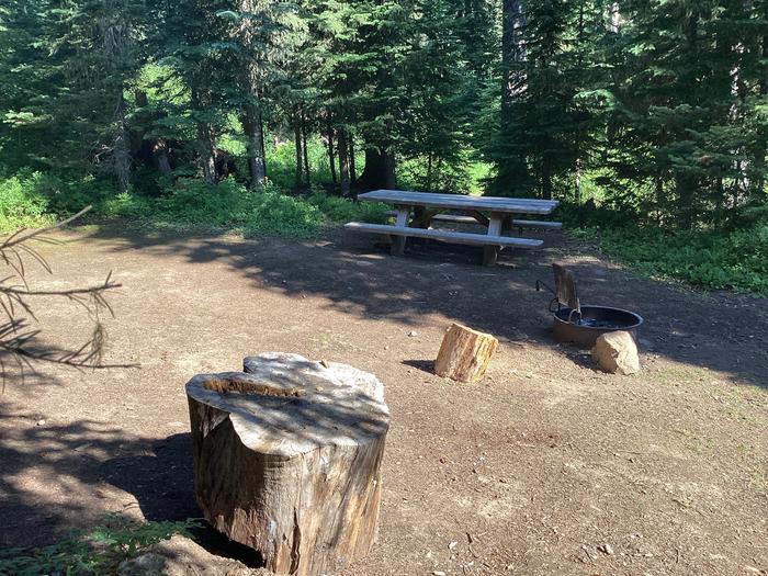 A photo of Site 2 of Loop Woodward at Woodward Campground with Picnic Table, Fire Pit, Shade, Tent Pad