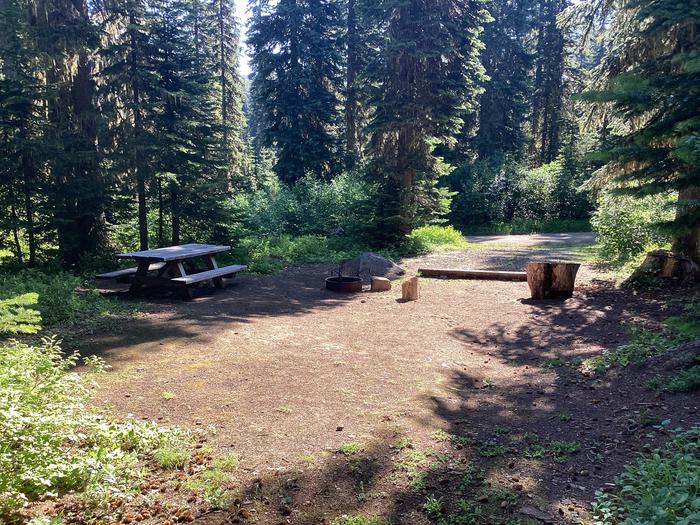 A photo of Site 2 of Loop Woodward at Woodward Campground with Picnic Table, Fire Pit, Shade, Tent Pad